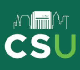 Bachelor of Business Administration in Accounting